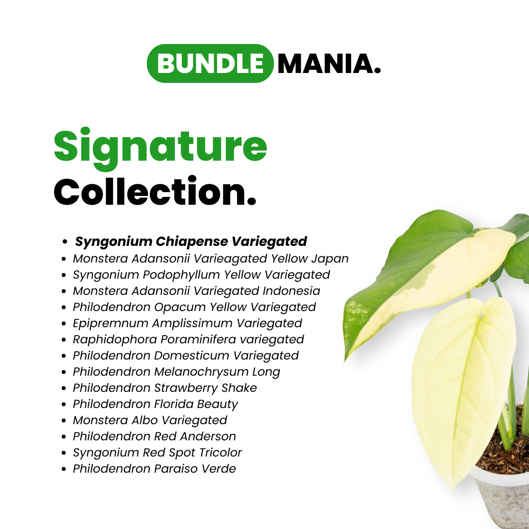Signature Collection