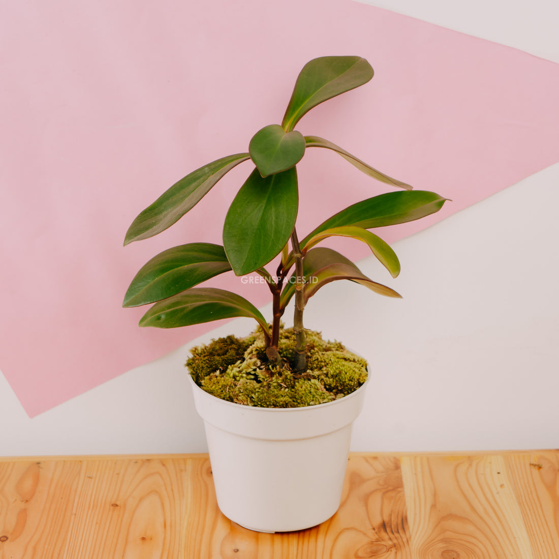 Teplan - Greenspaces.id