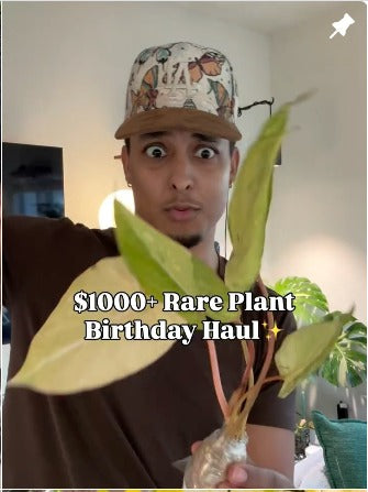 rareplantninja